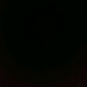 Meet your Posher, Miranda